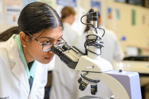 QCAA subjects and courses